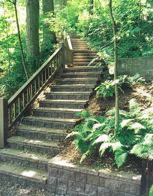 J&E Nursery Chicago Illinois Greenhouse and Garden Center